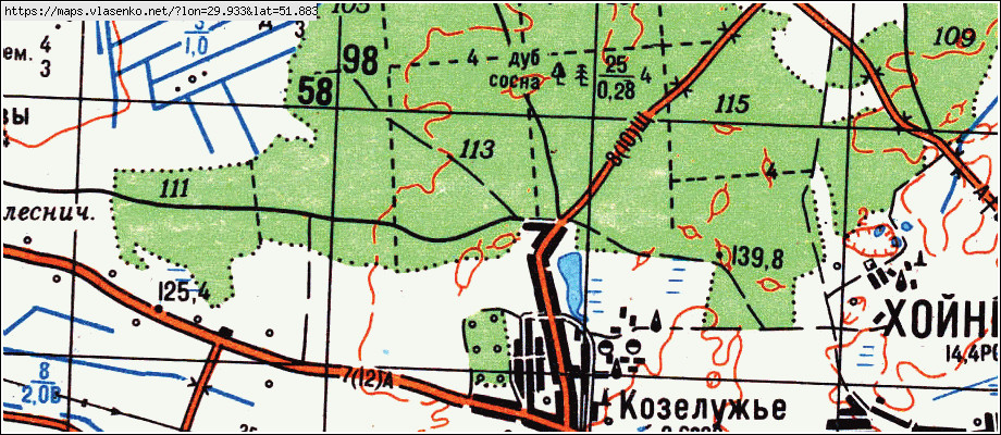 Карта ХОЙНИКИ, Гомельская область, Хойникский район
