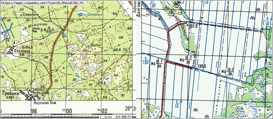 Карта БОРОВОЕ, Гомельская область, Лельчицкий район