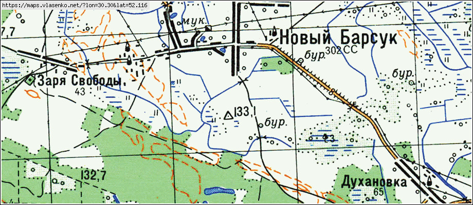 Карта НОВЫЙ БАРСУК, Гомельская область, Речицкий район