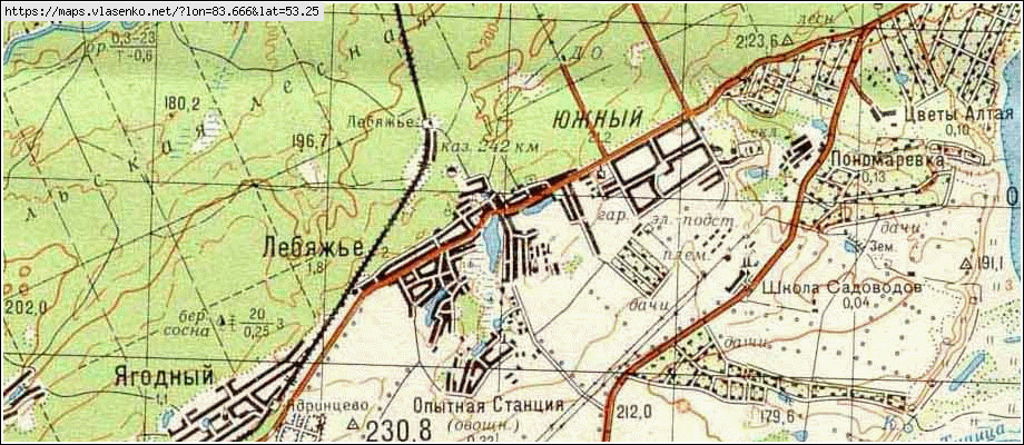 Лебяжье егорьевский район алтайский край карта