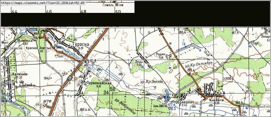 Большое полпино брянская область карта