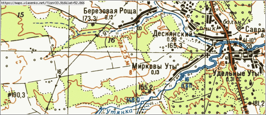 Карта БЕРЕЗОВАЯ РОЩА, Брянская область, Выгоничский район