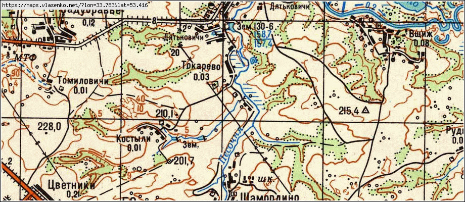 Карта ТОКАРЕВО, Брянская область, Жуковский район