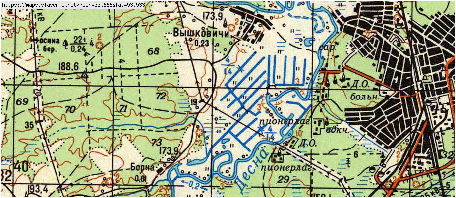 Карта ВЫШКОВИЧИ, Брянская область, Жуковский район