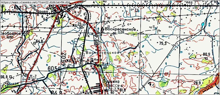 Карта ВОСКРЕСЕНСКОЕ, Калининградская область, Нестеровский район
