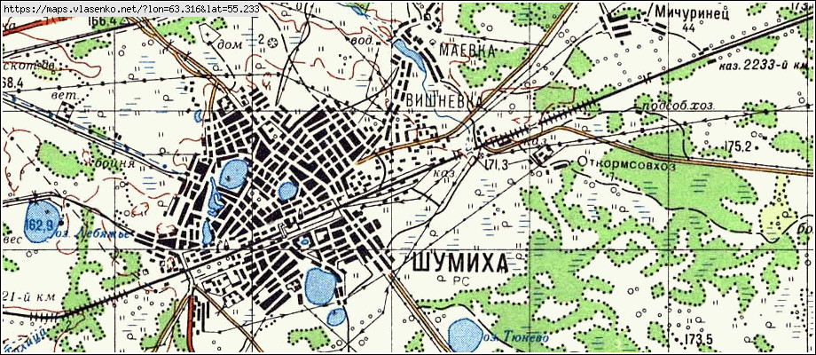 Карта ШУМИХА, Курганская область, Шумихинский район