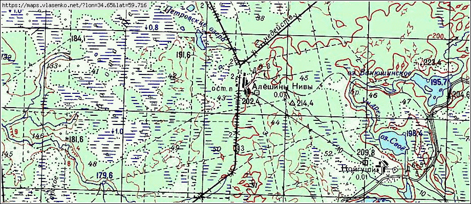 Карта АЛЕШИНЫ НИВЫ, Ленинградская область, Бокситогорский район