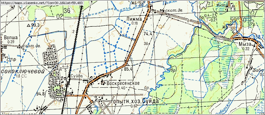 Карта СТАРЫЕ ЧЕРНИЦЫ, Ленинградская область, Гатчинский район
