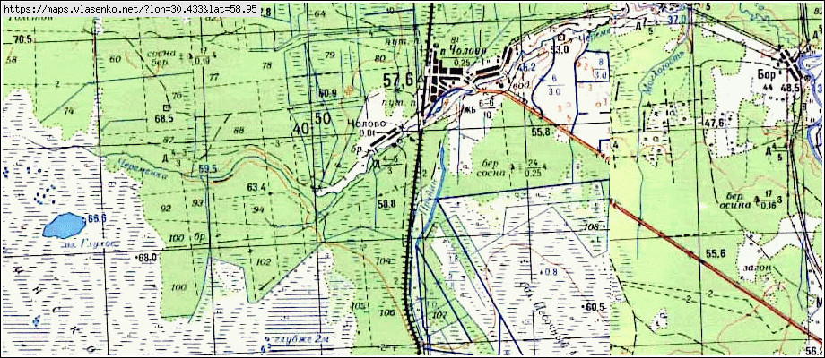 Карта ЧОЛОВО, Ленинградская область, Лужский район