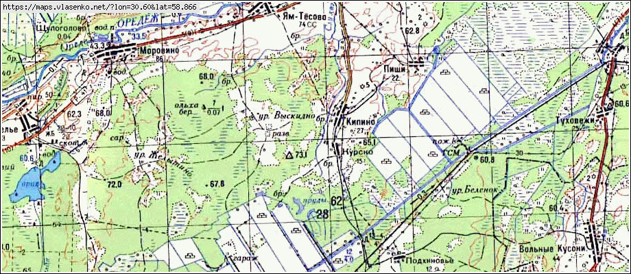 Карта КУРСКО, Ленинградская область, Лужский район