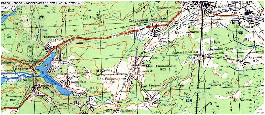 Карта МАЛЫЕ ВЛЕШКОВИЧИ, Ленинградская область, Лужский район
