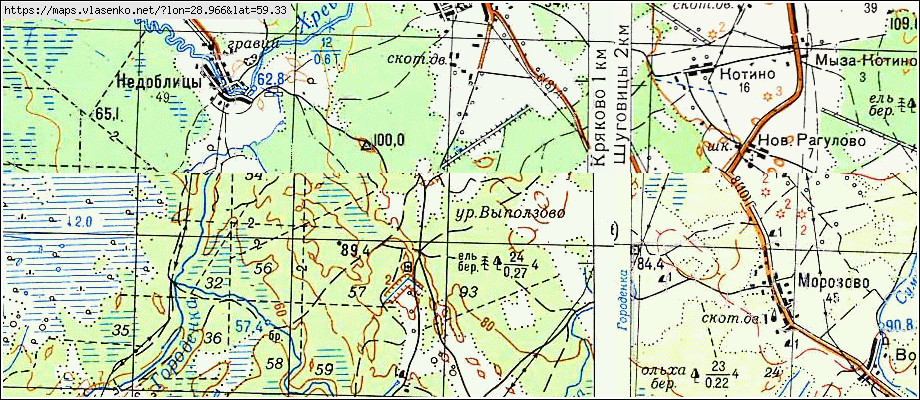 Карта ЛЕСИЩЕ, Ленинградская область, Сланцевский район