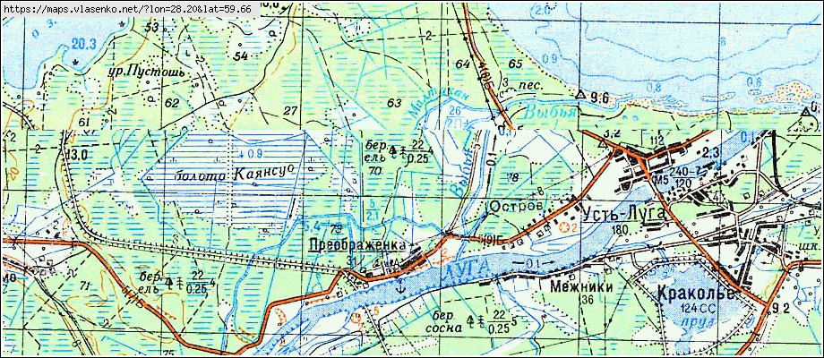 Карта ЗАЛЕСЬЕ, Ленинградская область, Сланцевский район
