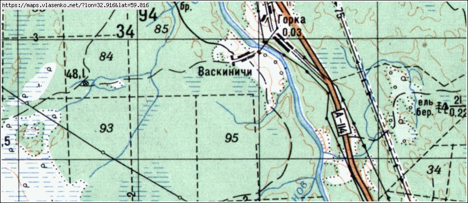 Карта ВАСКИНИЧИ, Ленинградская область, Волховский район