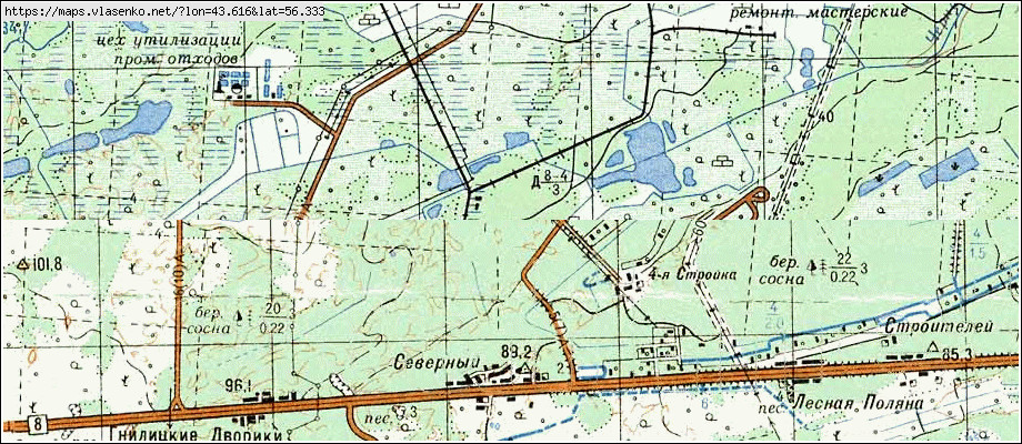 Березовая пойма карта