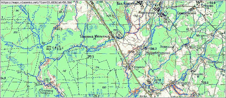 Карта ТОРОПИНА МЕЛЬНИЦА, Новгородская область, Боровичский район