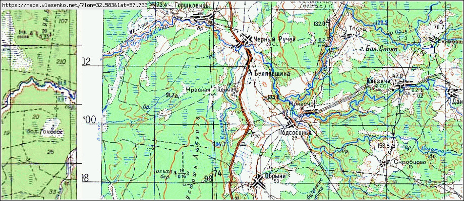 Карта БЕЛЯЕВЩИНА, Новгородская область, Демянский район