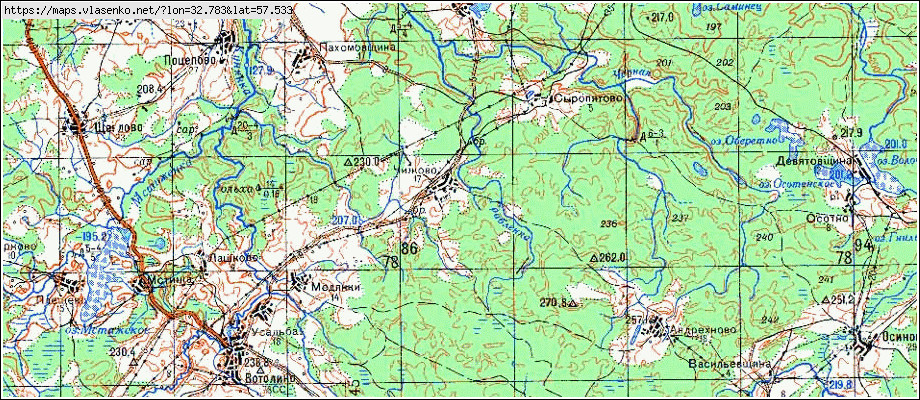 Карта ЧИЖОВО, Новгородская область, Демянский район