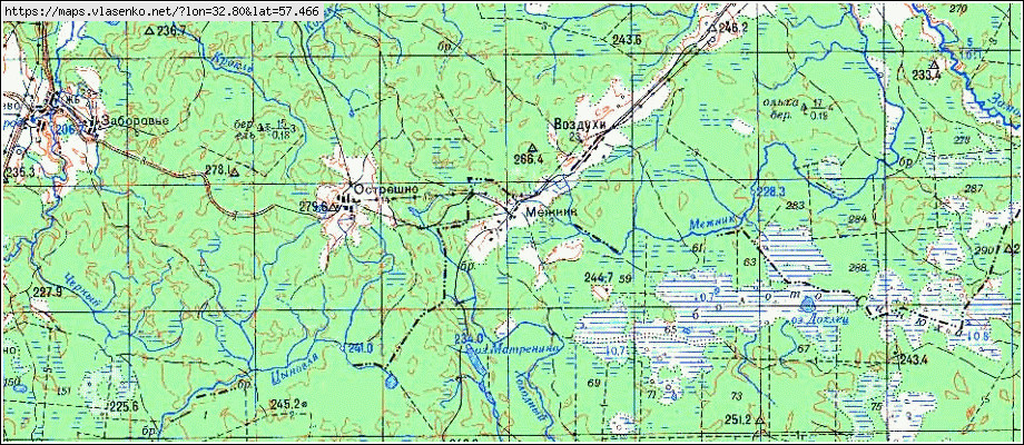 Карта МЕЖНИК, Новгородская область, Демянский район