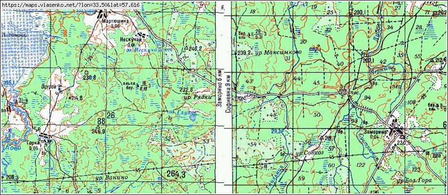 Карта ШАНЕВО 1-Е, Новгородская область, Демянский район