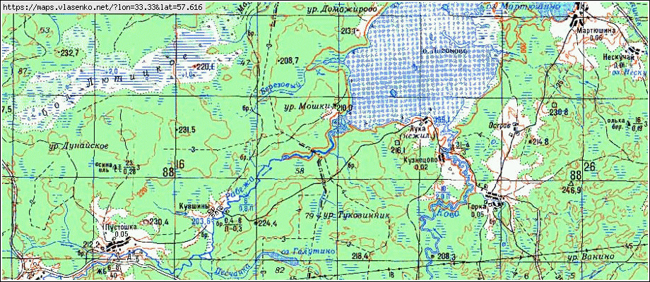 Карта ШАНЕВО 2-Е, Новгородская область, Демянский район