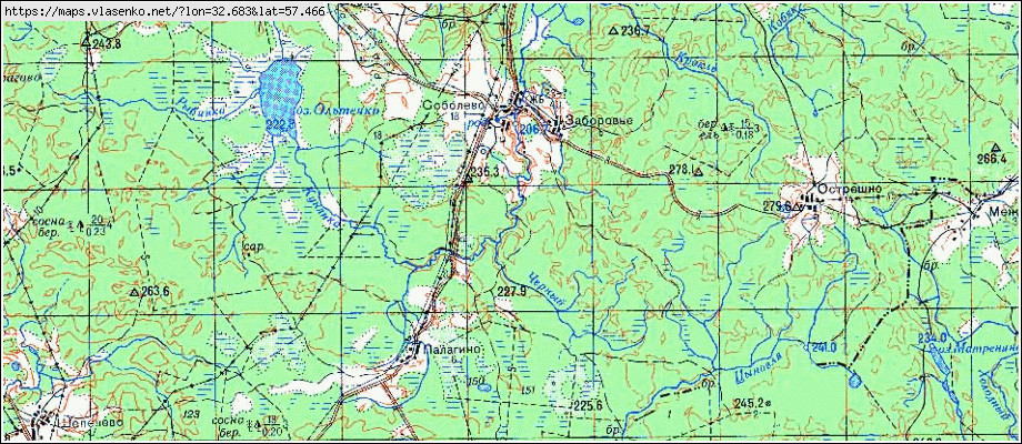 Старая карта демянского района