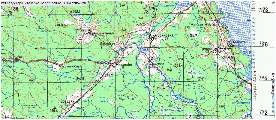 Карта ВАСИЛЬЕВЩИНА, Новгородская область, Демянский район