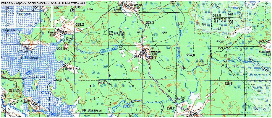 Карта ЗИМНИЦЫ, Новгородская область, Демянский район