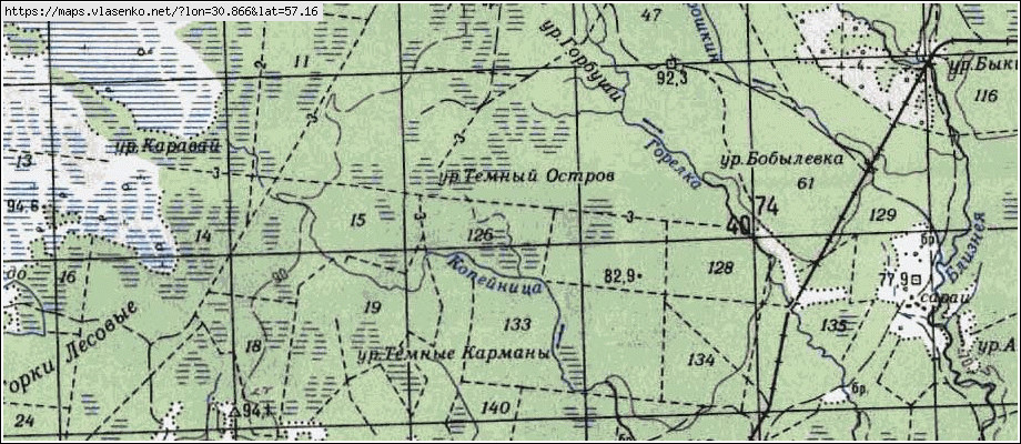 Карта ПОДФИЛЬНИ, Новгородская область, Холмский район