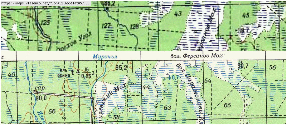Карта ПУРЫГИНО, Новгородская область, Холмский район