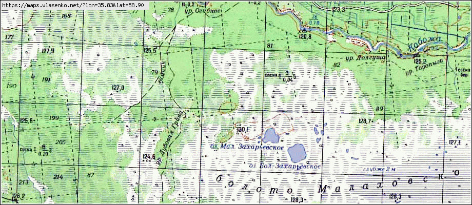 Карта ГОРНЫ, Новгородская область, Хвойнинский район
