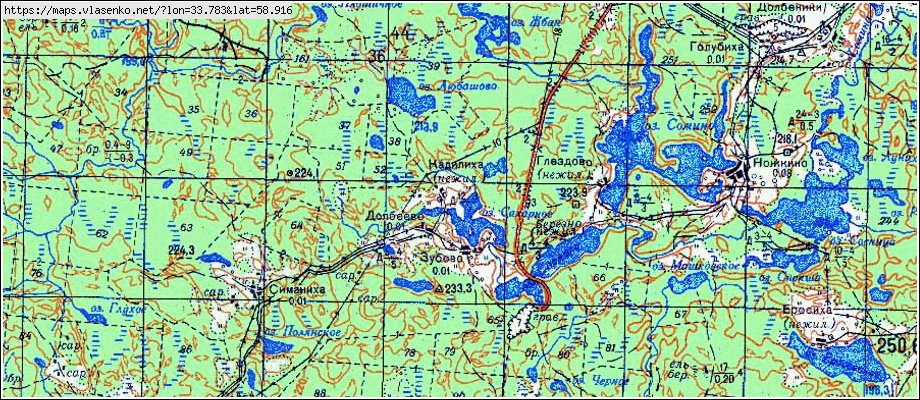 Публичная карта новгородской области