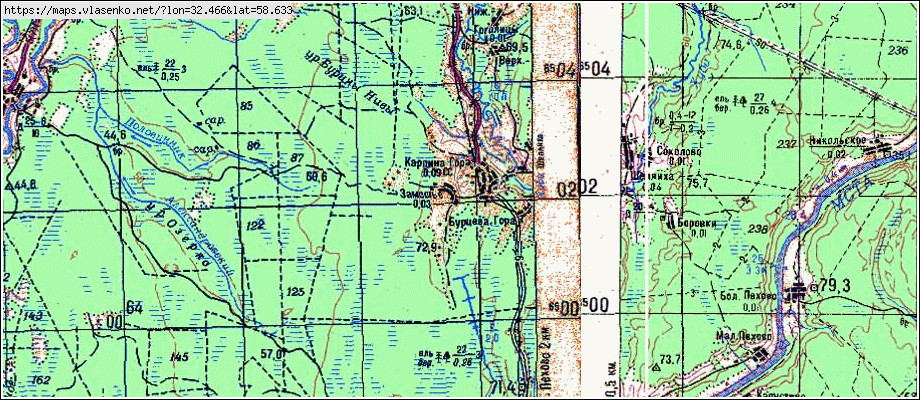 Карта ЗАМОШЬЕ, Новгородская область, Маловишерский район