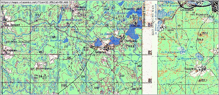 Карта БОЛЬШОЕ БОРОТНО, Новгородская область, Окуловский район