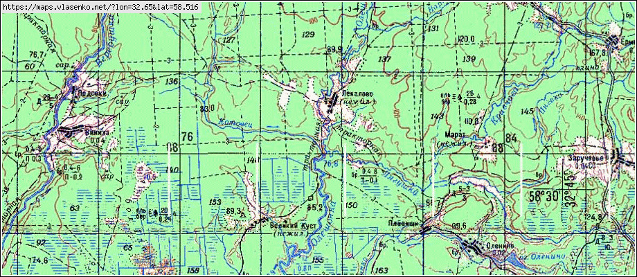 Новгородская область карта топографическая