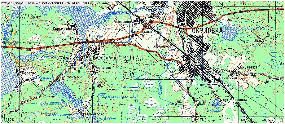 Карта ВАСИЛЬКОВО, Новгородская область, Окуловский район