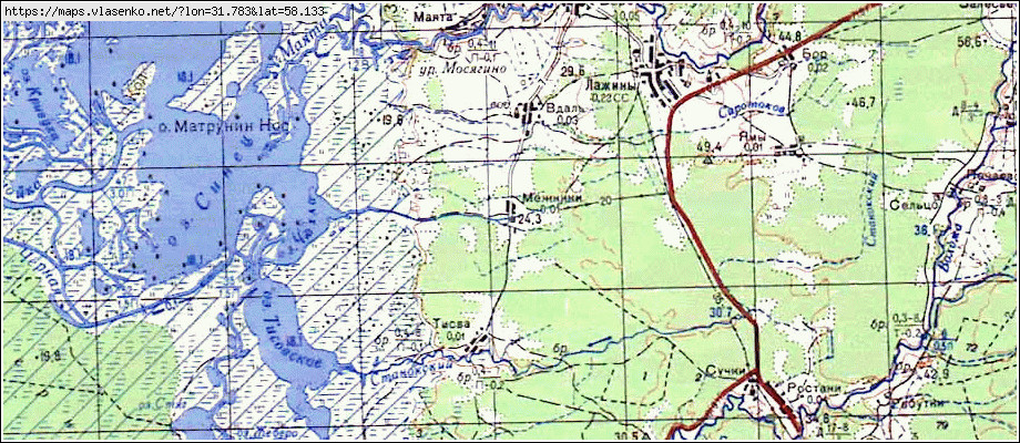 Карта МЕЖНИКИ, Новгородская область, Парфинский район