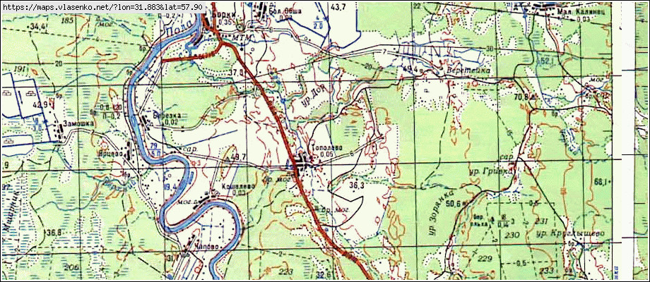 Карта ТОПОЛЕВО, Новгородская область, Парфинский район