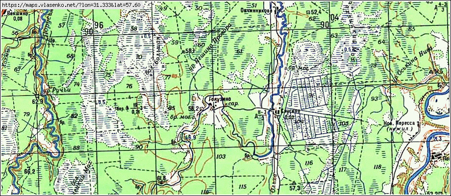 Карта ГОЛУЗИНО, Новгородская область, Поддорский район