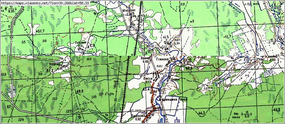 Карта БОРОВНЯ, Новгородская область, Солецкий район