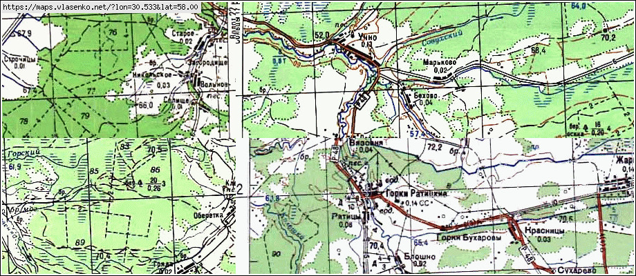 Карта ВЯЗОВНЯ, Новгородская область, Волотовский район