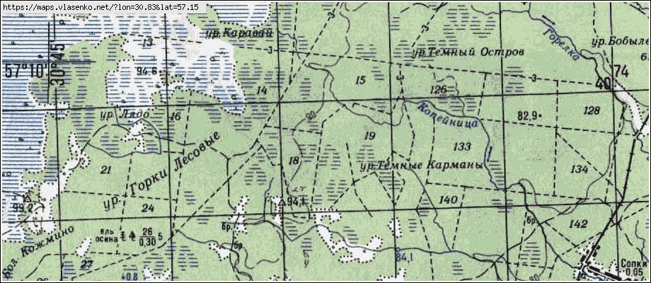 Карта бежаницкого района 1940 года