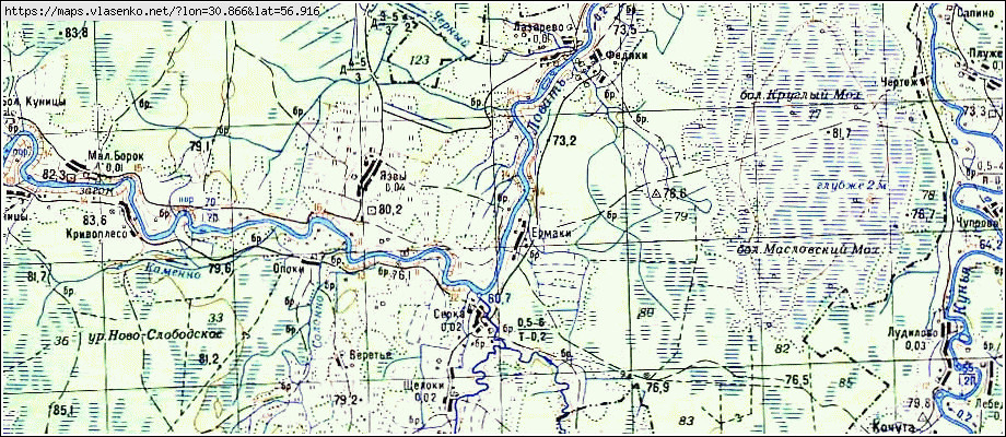 Военная карта локнянского района