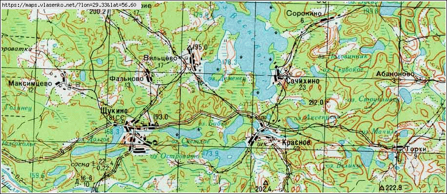 Спутниковая карта псковской обл