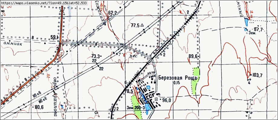 Карта березовой рощи