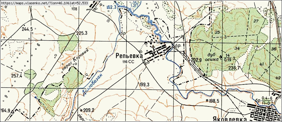 Погода в репьевке карта осадков