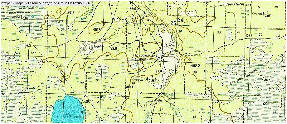 Карта НОВОСЕЛОВКА, Свердловская область, Тавдинский район