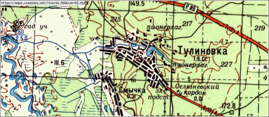 Тулиновка тамбовская область карта