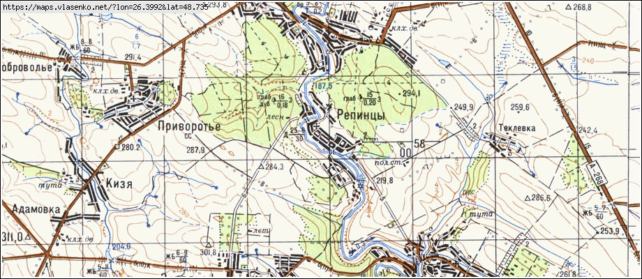 Карта РІПИНЦІ, Хмельницька область, Кам'янець-подільський район