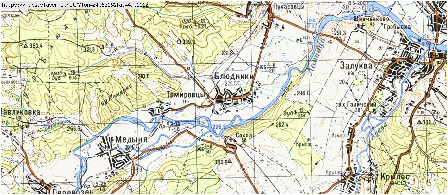 Карта БЛЮДНИКИ, Івано-Франківська область, Галицький район